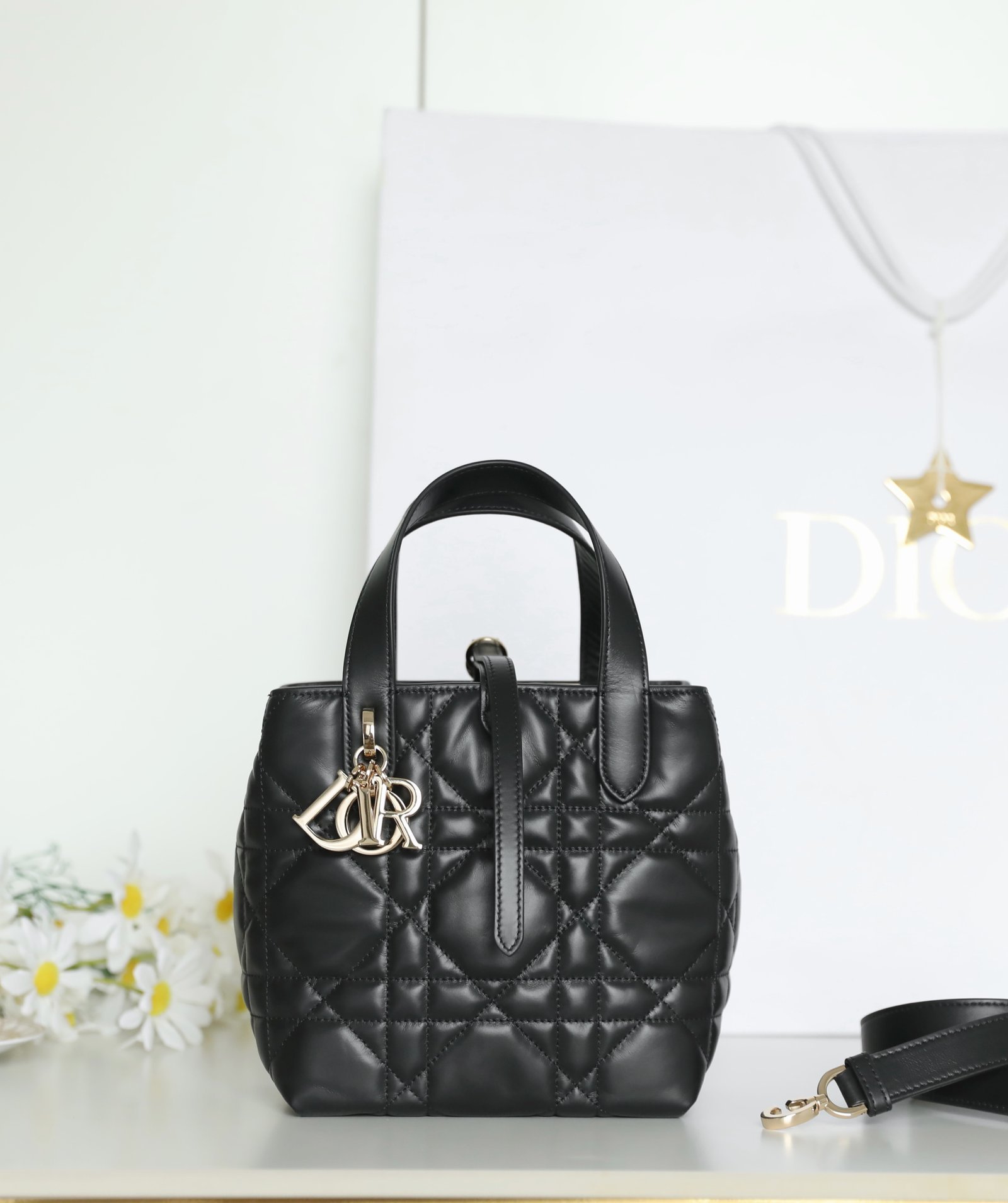 Small DIOR TOUJOURS Vertical Tote Bag (Black Calfskin) detail image 1 sourced from womanlvbag.com