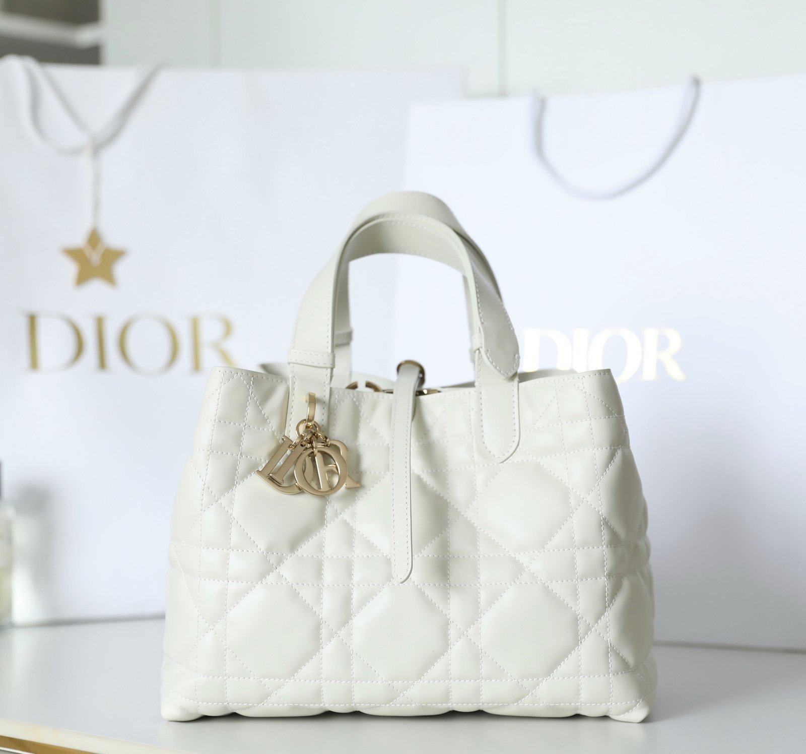 Medium DIOR TOUJOURS Bag (Latte/White Calfskin) detail image 1 sourced from womanlvbag.com