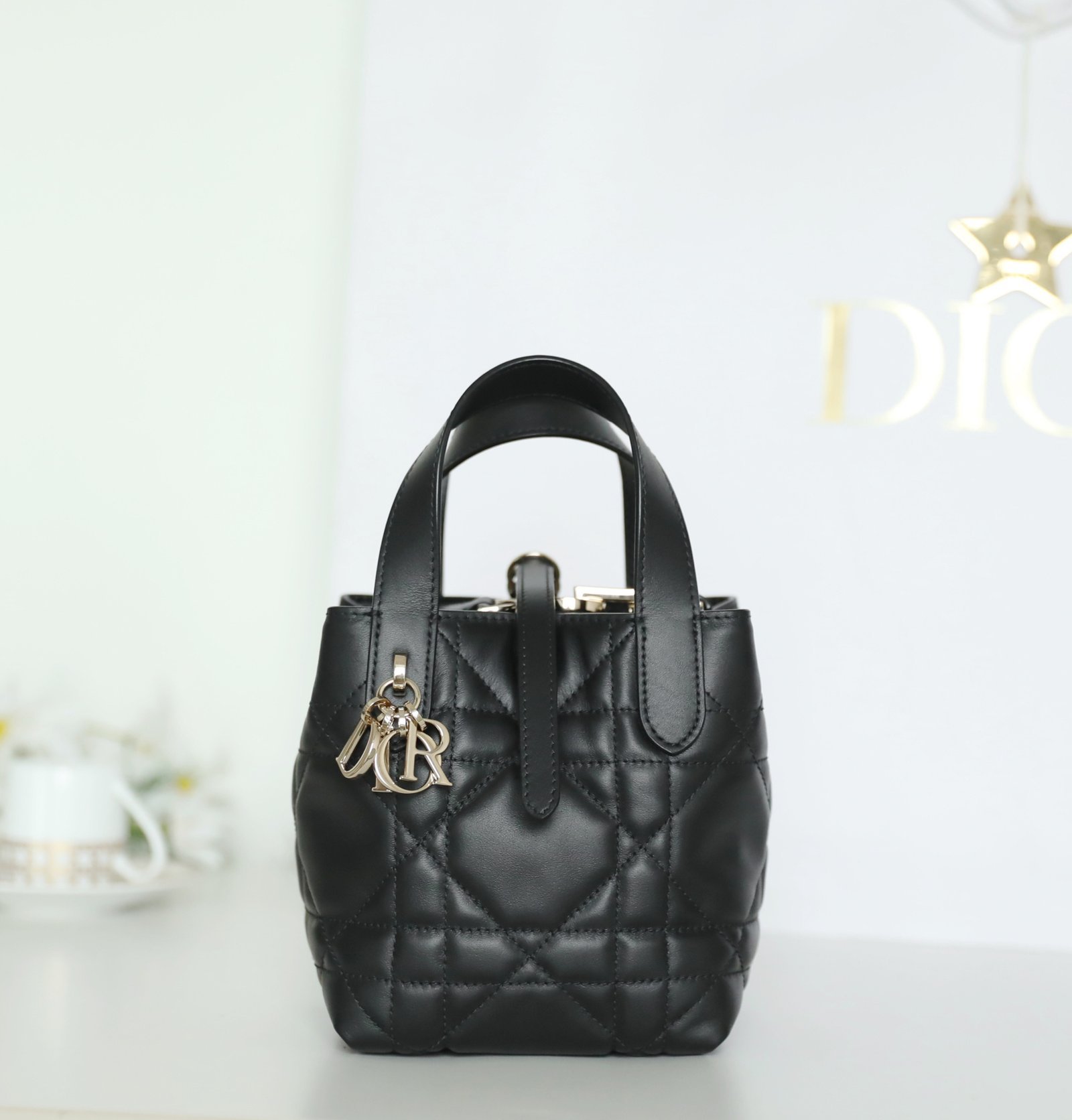 Mini DIOR TOUJOURS Vertical Tote Bag (Black Calfskin) detail image 1 sourced from womanlvbag.com