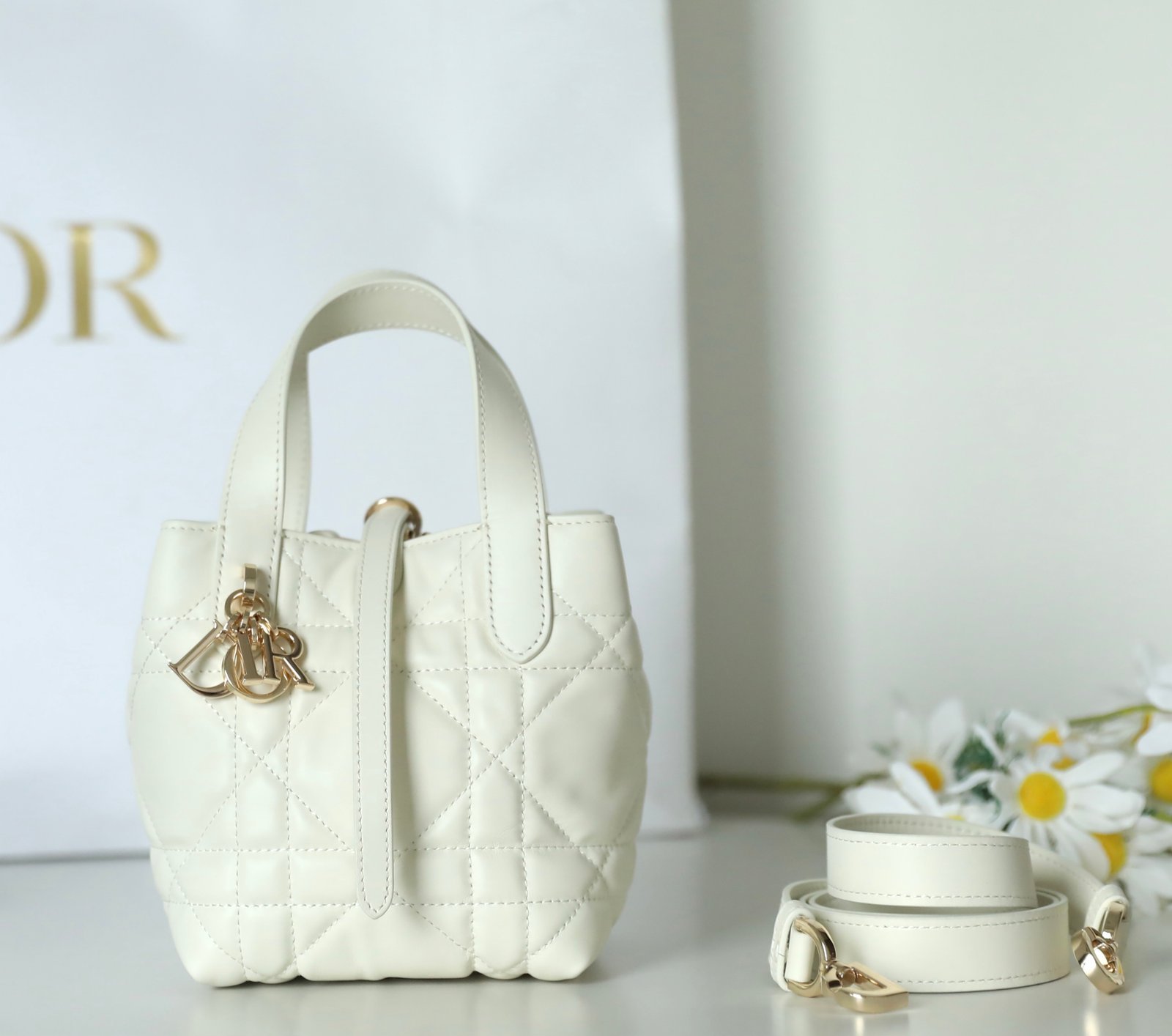 Mini (Nano) DIOR TOUJOURS Vertical Tote Bag (Latte Calfskin) detail image 1 sourced from womanlvbag.com
