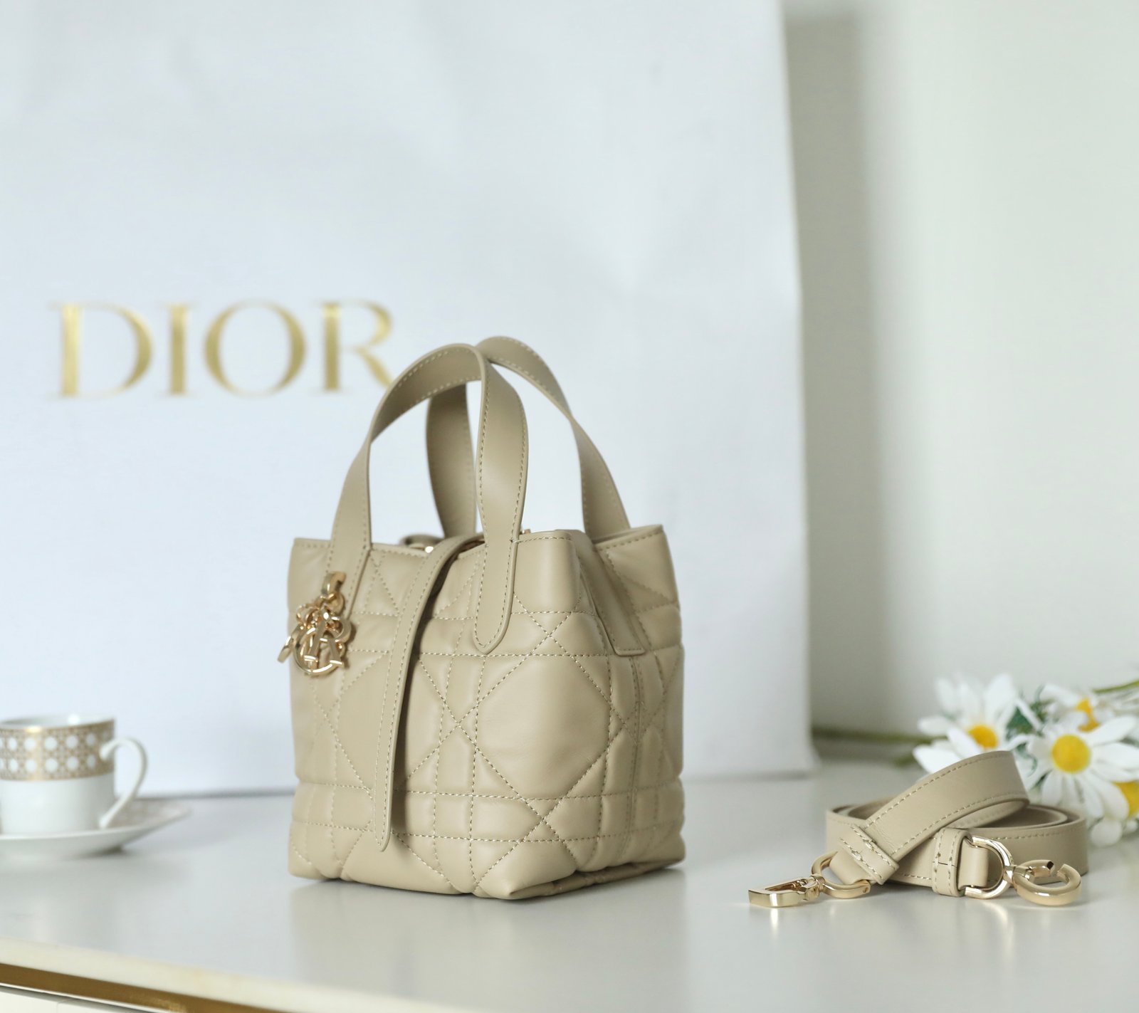 Mini DIOR TOUJOURS Vertical Tote Bag (Apricot Calfskin) detail image 2 sourced from womanlvbag.com