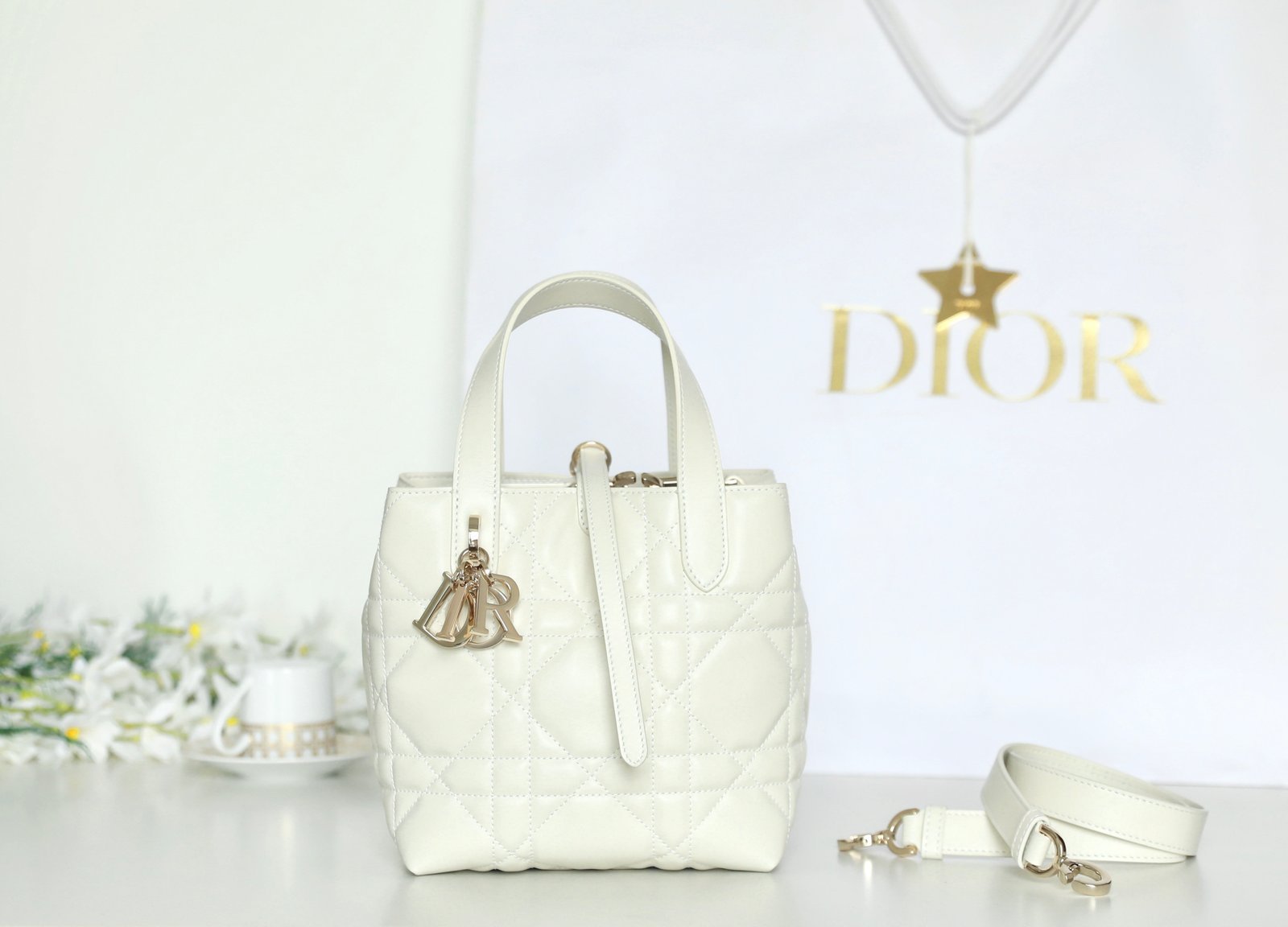 Small DIOR TOUJOURS Vertical Tote Bag (Latte Calfskin) detail image 1 sourced from womanlvbag.com